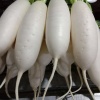 新霞种植农场的一亩田店铺