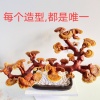 梁文达的一亩田店铺