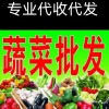 聊城市东昌府区老籍家果蔬合作社的一亩田店铺