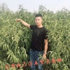 鑫茂科技有限公司的一亩田店铺