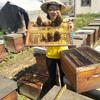 李志琴蜜蜂养殖场的一亩田店铺