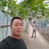邳州市李明亮蒜业的一亩田店铺