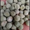 陈秀芹的一亩田店铺