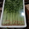 梁瑞的一亩田店铺