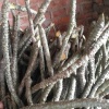 方明稿的一亩田店铺
