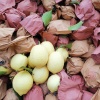曾祥勇的一亩田店铺