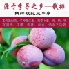 张源财的一亩田店铺