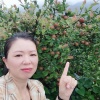 曾姐高产油茶苗批发的一亩田店铺