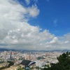 富宁玖玖贸易的一亩田店铺