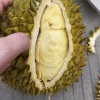 黄月花的一亩田店铺
