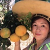 陈亚丽的一亩田店铺