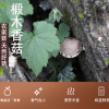 蕈硕园生态农业的一亩田店铺