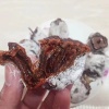 牛云丽的一亩田店铺