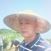 丰超绿化苗木的一亩田店铺
