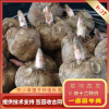 德泽生态的一亩田店铺