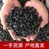 青海丹田枸杞种植有限公司的一亩田店铺