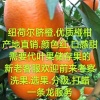 浩瀚果业的一亩田店铺