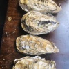 唐坤的一亩田店铺