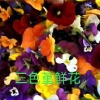 徐国庆的一亩田店铺