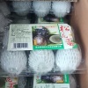 丁养光的一亩田店铺