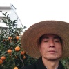 武阳安富继宝水果批发的一亩田店铺