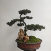叶开蓉的一亩田店铺