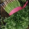 山东金立蔬菜种植基地的一亩田店铺