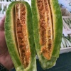 四季鲜瓜果蔬菜市场的一亩田店铺