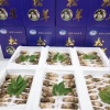 源泉尚品松茸经销的一亩田店铺