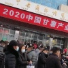 禹州市诚信薯业育苗基地的一亩田店铺