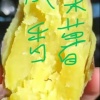 孙立新的一亩田店铺