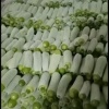 童新的一亩田店铺