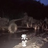 瑞云号茶文化传播有限公司的一亩田店铺