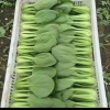 曹县昭盛蔬菜种植专业合作社的一亩田店铺