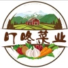 东台市匡国瓜果蔬菜合作社的一亩田店铺