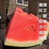 河南先锋良种的一亩田店铺