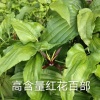 黄永佩的一亩田店铺