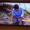 康源食用菌有限公司的一亩田店铺