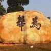 殷隆金的一亩田店铺