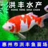 彭炳桥的一亩田店铺