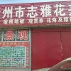 志雅花卉的一亩田店铺