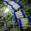 苗翠田的一亩田店铺