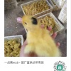 叶斯敏的一亩田店铺