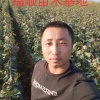 卢龙县福顺葡萄苗木基地的一亩田店铺