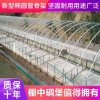 沭阳索凯特电子商务有限公司的一亩田店铺