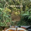 华晴果苗种植场的一亩田店铺