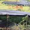 七彩云家养殖场的一亩田店铺