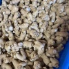 小秦参茸特产行的一亩田店铺