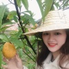 枝繁叶茂农业的一亩田店铺