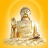 魏华征的一亩田店铺